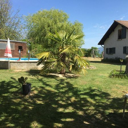 Les Palmiers Apartman Chimilin Kültér fotó